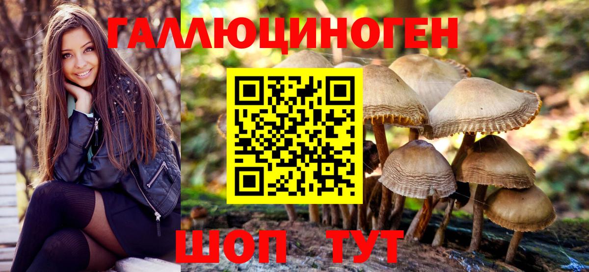 Галлюциногенные грибы мухоморы  Вход с VPN  Майкоп 